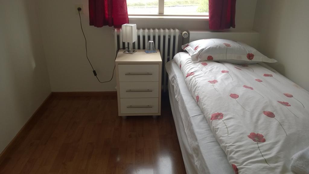 Guesthouse Skjoldolfsstadir Skjoldolfsstathir Pokój zdjęcie
