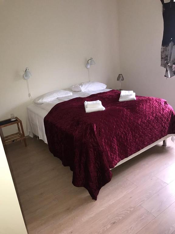 Guesthouse Skjoldolfsstadir Skjoldolfsstathir Zewnętrze zdjęcie