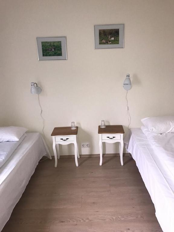 Guesthouse Skjoldolfsstadir Skjoldolfsstathir Zewnętrze zdjęcie